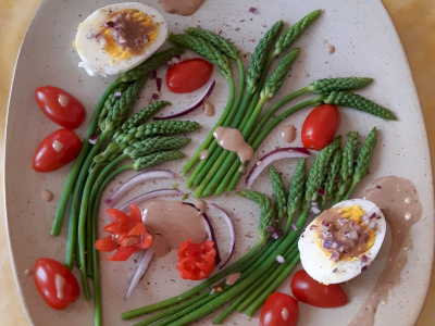 Asperges des bois ou Ornithogales